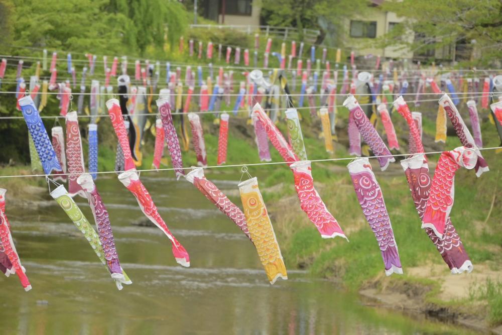 ６月２日（日曜日）まで、袋田の滝あゆと鯉のぼりが開催中！色鮮やかな鯉のぼりやあゆのぼりが滝川の上を泳いでいます。を見る