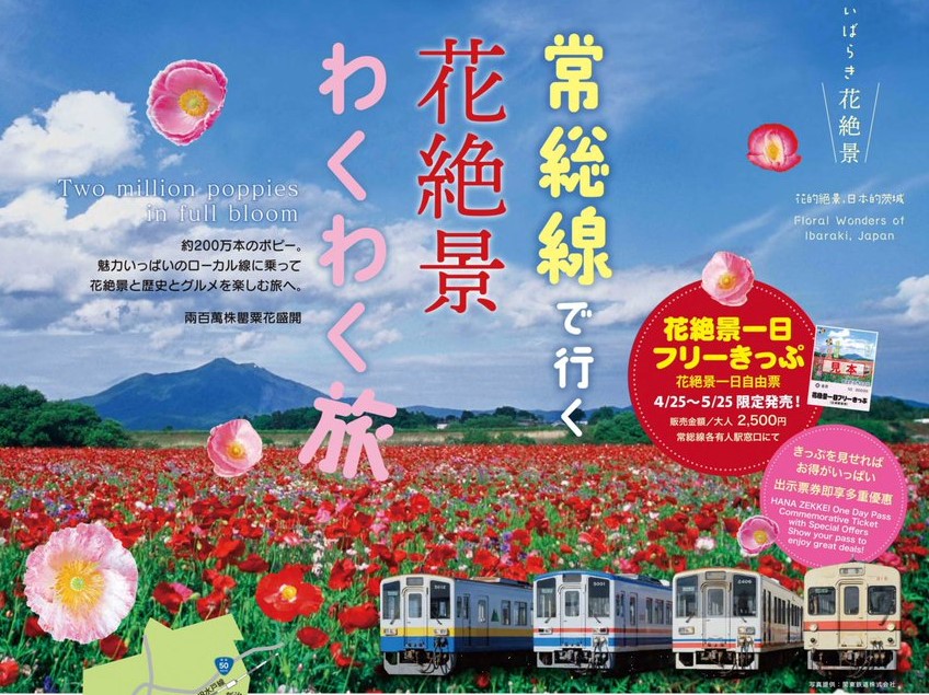 関東鉄道で常総線沿線の花絶景スポットを楽しむ「花絶景1日フリーきっぷ」を販売中!小貝川ふれあい公園のポピーが見頃です。を見る