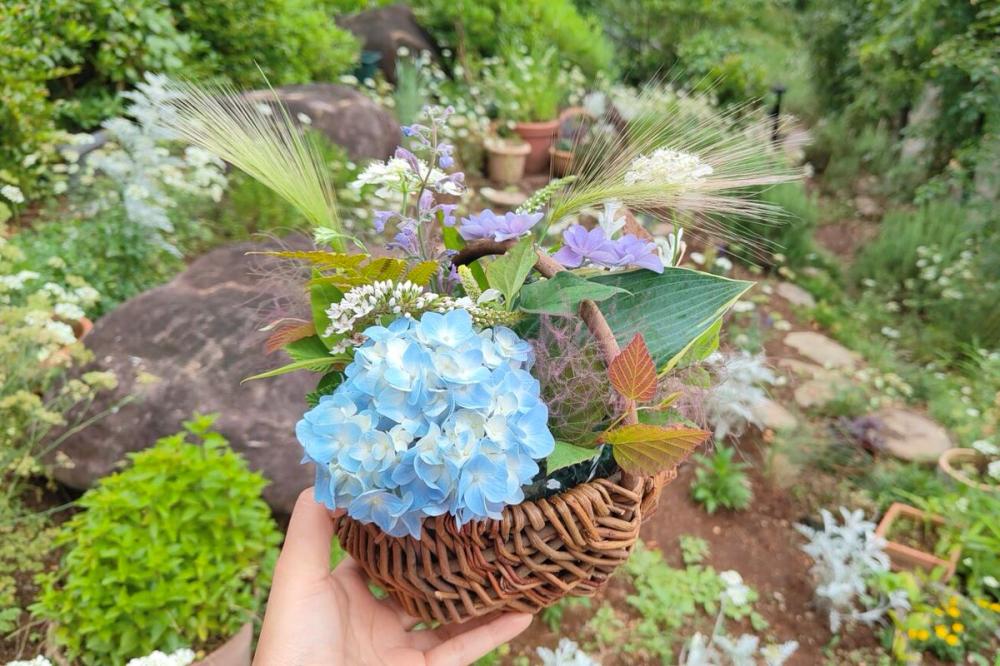 いばらきフラワーパークの紫陽花がもうすぐ見頃を迎えます。現在開催中の「台湾花祭」とあわせてお楽しみください!を見る