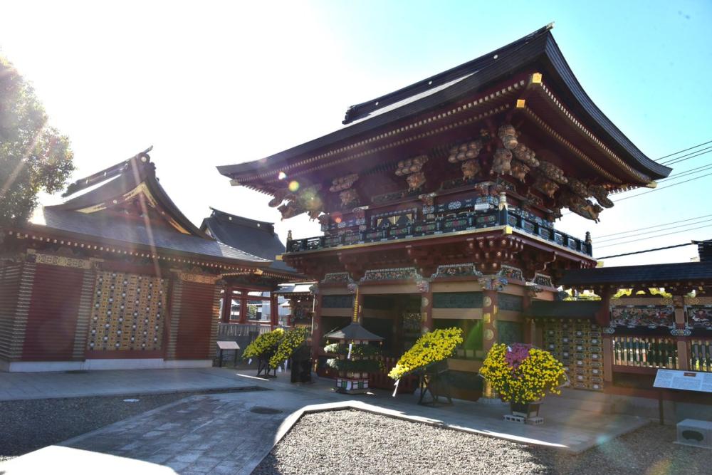 稲敷市の大杉神社は日本で唯一の「夢結び大明神」として知られています!皆さんもぜひお願いごとをしてみては?を見る