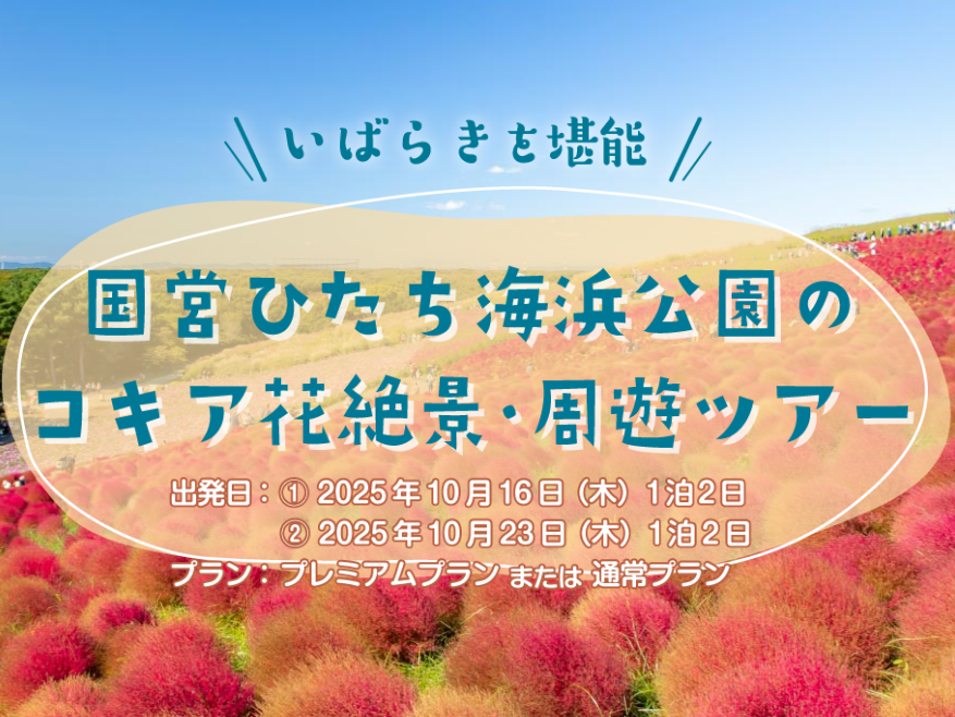 「コキア花絶景&周遊ツアー」!茨城ならではの体験ができる通常プラン・YOSHIKIFUJIの絶品料理を味わうプレミアムプランをご用意!を見る