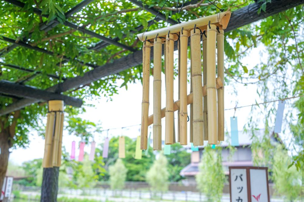 10/４(土曜日)～5(日曜日) 潮来市で秋の風物詩をお楽しみください。竹風鈴やガラス風鈴の音色に包まれ、秋の静かなひと時を楽しめます♪を見る
