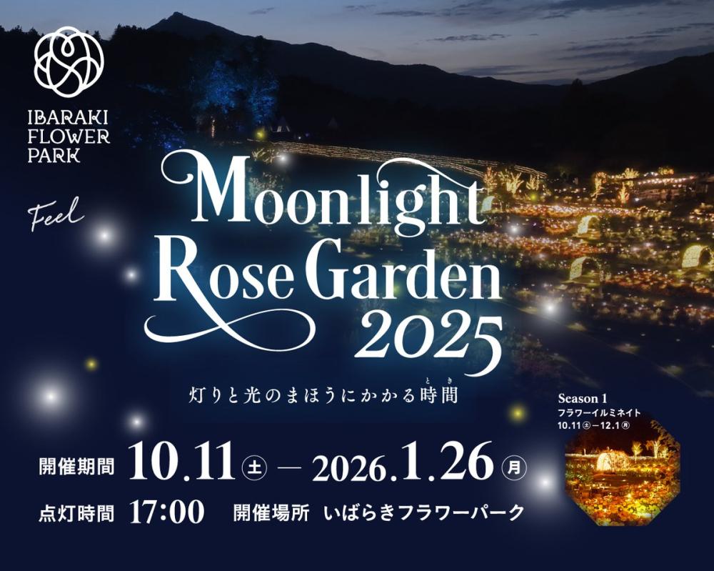 10/11㈯～1/26㈪ いばらきフラワーパーク『Moon light Rose Garden 2025 』！夜バラ園を彩るイルミネーションが今年も開催します。を見る