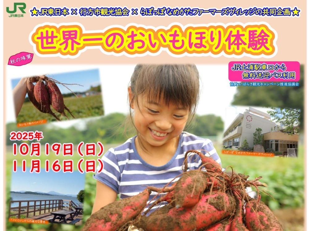 秋の味覚“さつまいも”を堪能!10/19㈰・11/16㈰は世界一のおいもほり体験やグルメが楽しめます♪を見る