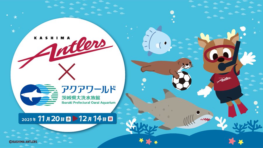 11/20㈭～12/14㈰ 鹿島アントラーズ×アクアワールド・大洗 コラボイベント初開催！コラボグッズや限定デザインの年パスも販売します！を見る