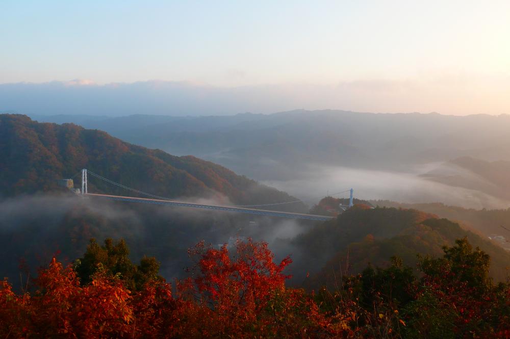 11/30㈰まで「竜神峡紅葉まつり」開催中！地上100ｍの高さから見る紅葉は圧巻です。期間中は物産市やキッチンカーの出展も♪を見る