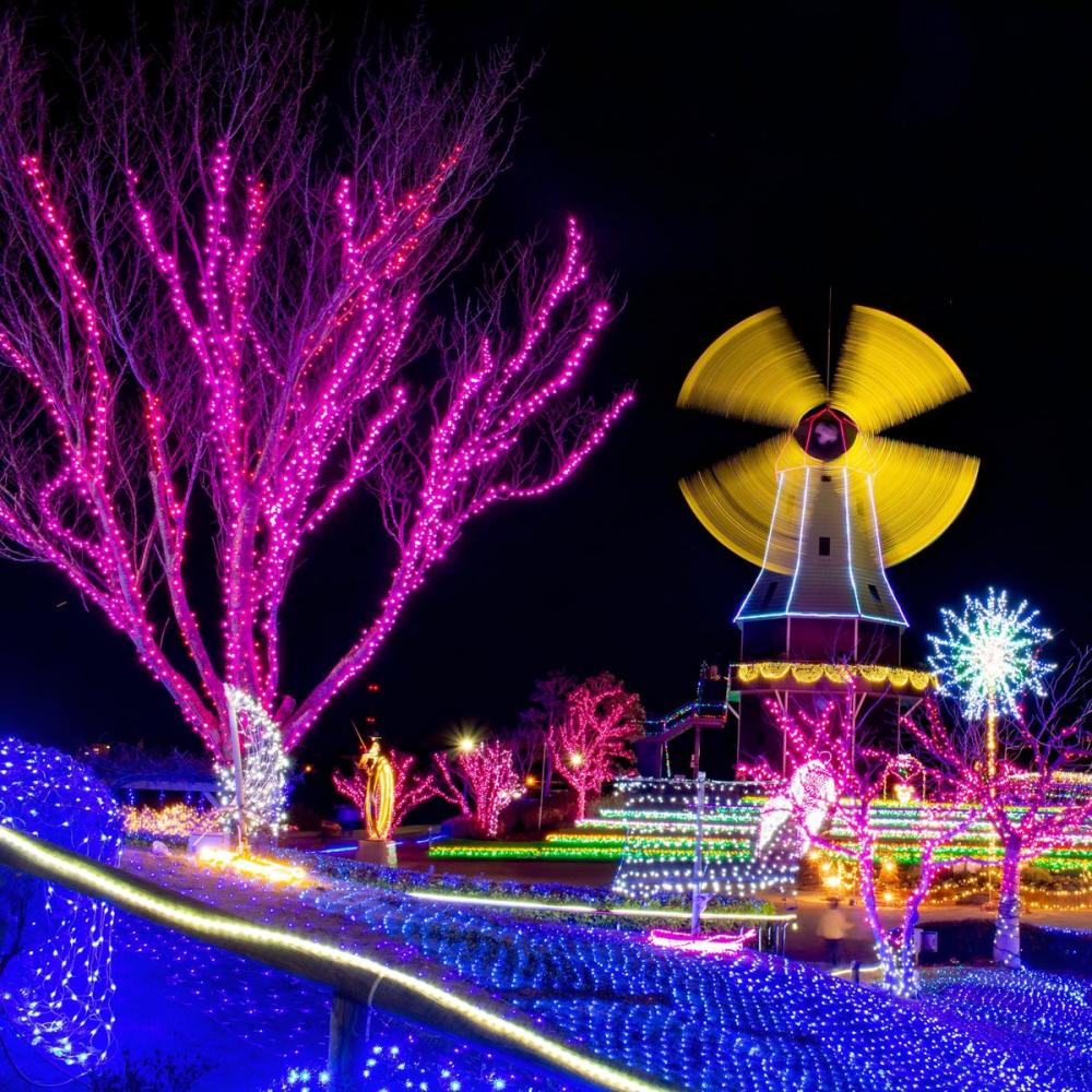 1/12㈪まで霞ヶ浦総合公園で「水郷桜イルミネーション」開催中！点灯期間中キッチンカーは毎日出店します♪を見る