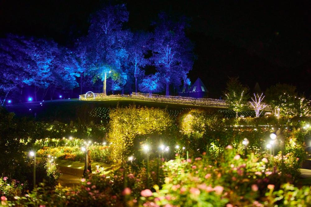 いばらきフラワーパーク「MoonLightRoseGarden」シーズン２開始！冬の自然を彩る光の幻想的な世界を体感できます。を見る