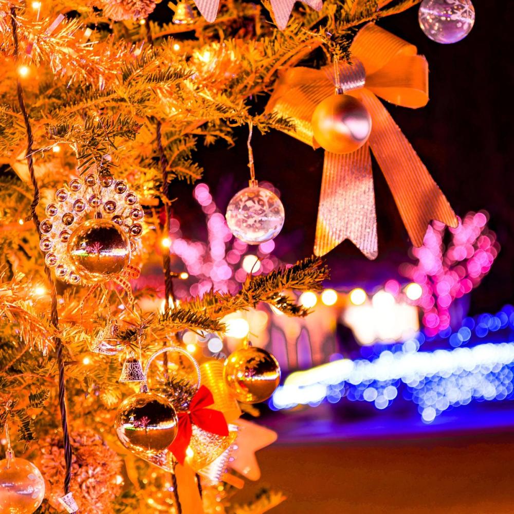 1/12（月・祝）まで「水郷桜イルミネーション」開催中！冬の湖畔を彩る光景をぜひご覧ください♪を見る