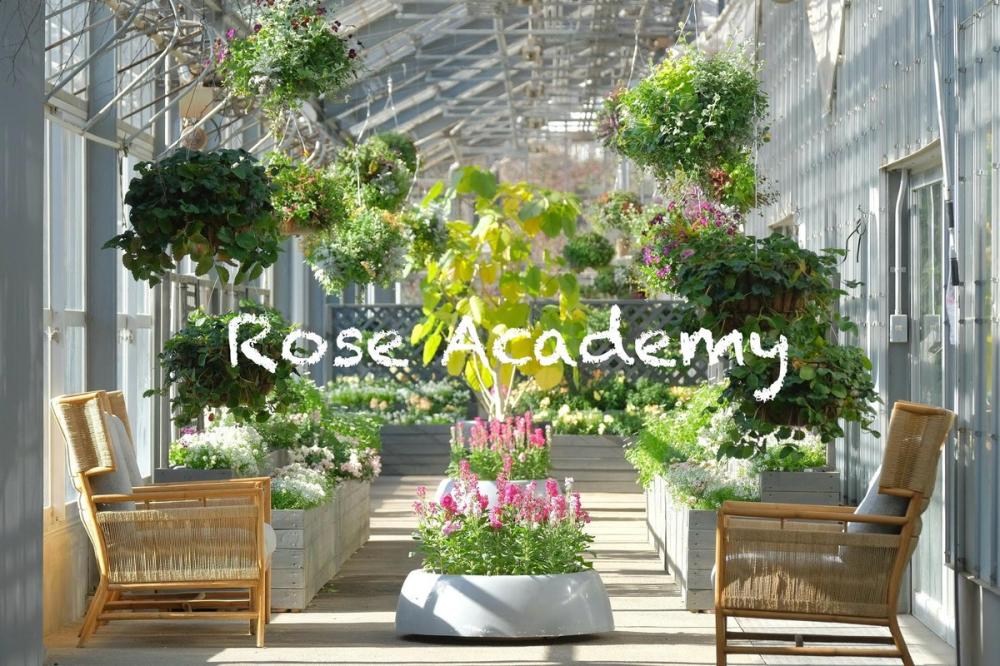 1/31㈯～初開講！いばらきフラワーパークで特別レッスン「ローズアカデミー」予約受付中♪を見る