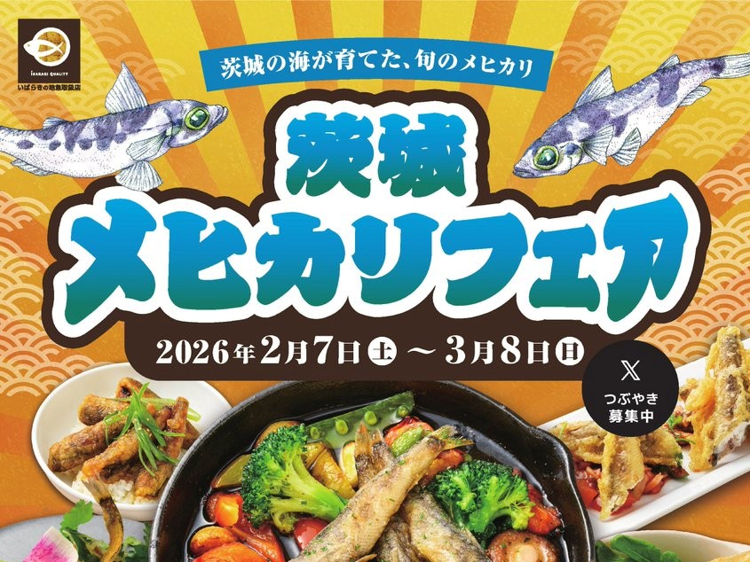 3/8㈰まで県内各所で「茨城メヒカリフェア」開催中！おいしさがより一層増すこの時期に、ぜひご賞味ください。を見る