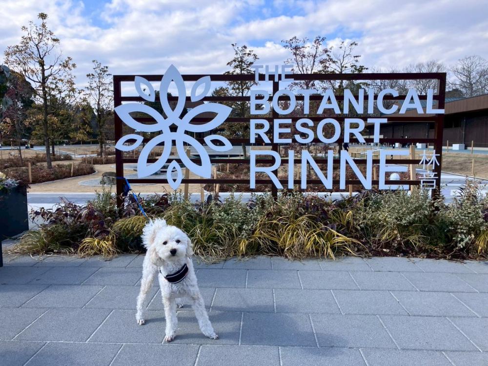 那珂市にある日本初の泊まれる植物園の「THE BOTANICAL RESORT林音」にはワンちゃんと泊まれるドギーコテージも！を見る