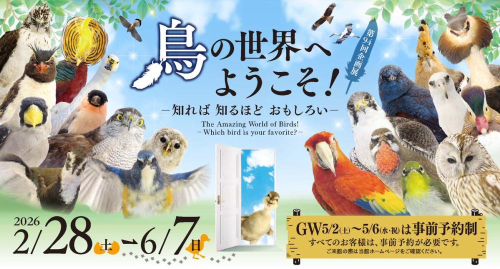 6/7㈰までミュージアムパーク茨城県自然博物館で企画展「鳥の世界へようこそ！-知れば 知るほど おもしろい-」開催中！を見る