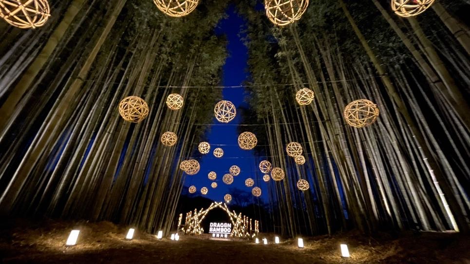 4/4㈯「ひたち大宮辰ノ口さくらまつり」ツアー限定桟敷席で楽しむ花火大会日帰りバスツアー開催！を見る