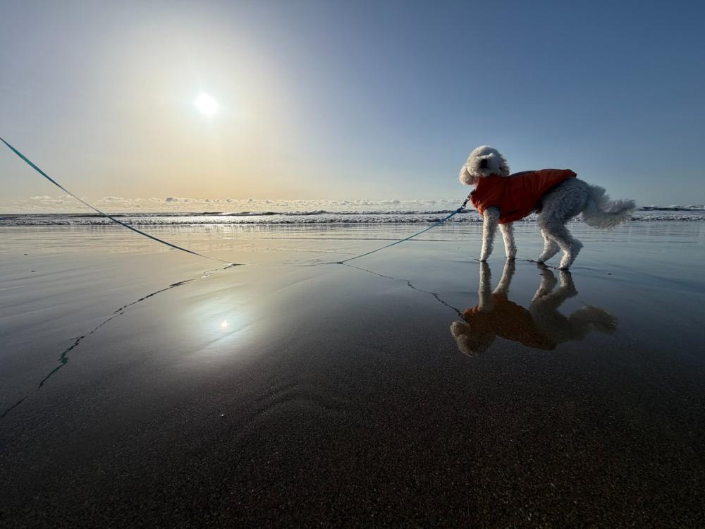 3/19はカメラ発明記念日！大洗サンビーチのリフレクションビーチでは、浜辺が海水に反射した幻想的な写真が撮影できます♪を見る