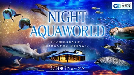 NIGHT AQUAWORLD リニューアル🌛昼間とは異なる静けさと光の中で、海の世界をより深く感じてみませんか？を見る