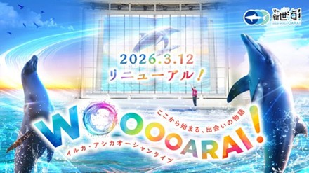 アクアワールド・大洗 では新たなイルカ・アシカオーシャンライブがスタート🐬🌈パフォーマンスの魅力がよりパワーアップ✨を見る