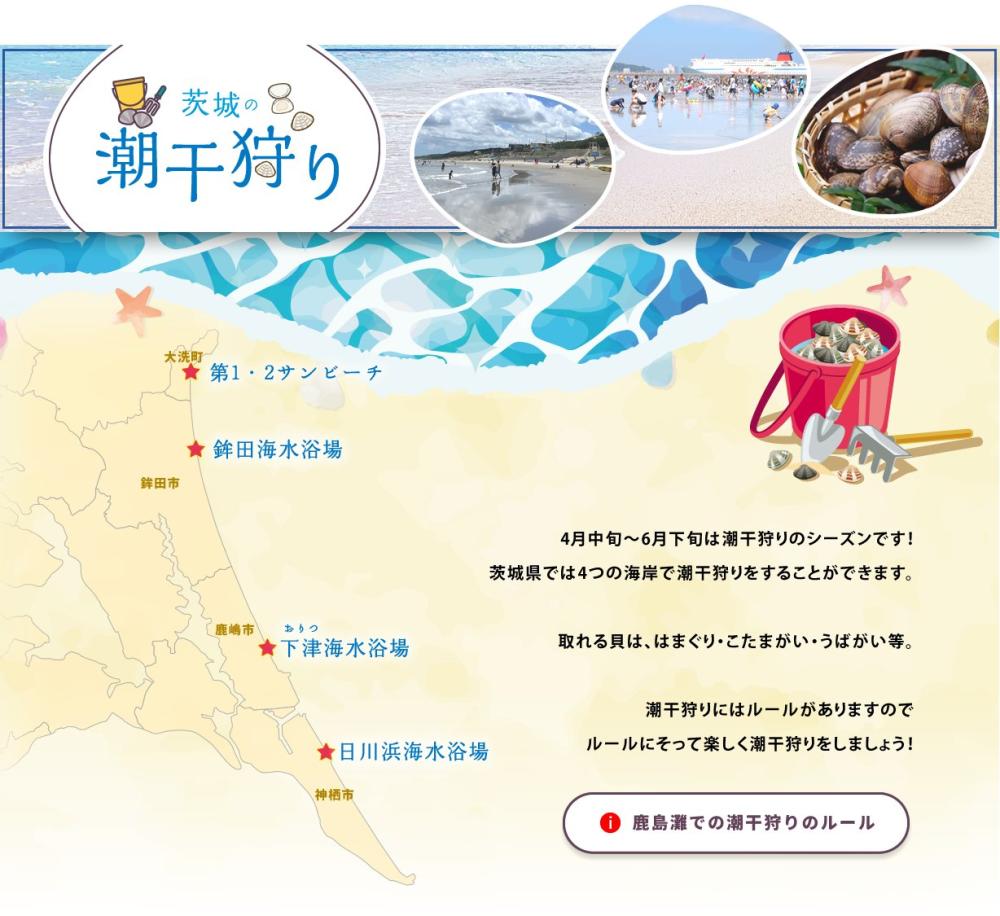 茨城の潮干狩りシーズン到来✨🌊  ルールを守って次のシーズンも美しい海岸を残しましょう🌿💛を見る