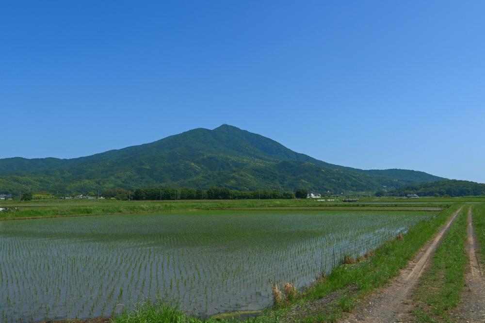 新緑の筑波山と田植え後の水田 この時期にしか見られない茨城の原風景📸筑西市から撮影を見る