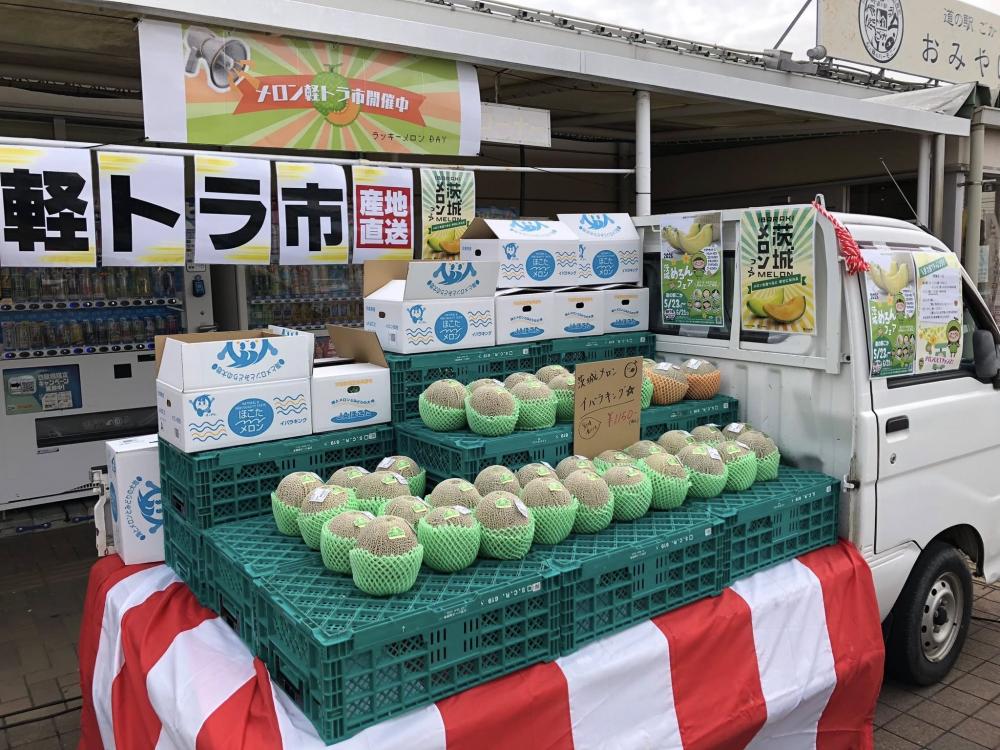 6月21日（日曜日）まで、道の駅ごかで「いばらきメロンフェア」開催中！旬を迎えた茨城県産メロンが勢ぞろい！🍈✨を見る