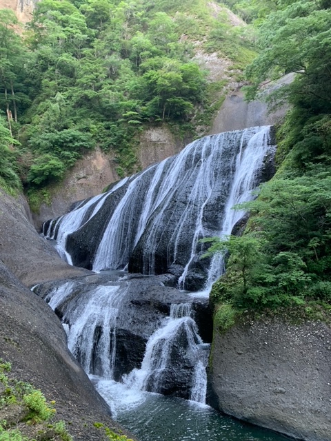新緑に包まれた袋田の滝！轟く水音と鮮やかな緑が織りなす景色はまさに大自然の絶景です✨を見る