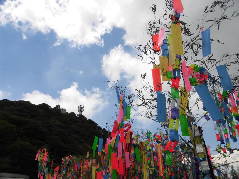 もうすぐ七夕！筑波山頂七夕かざり今年も開催！関東平野を一望できる筑波山頂から、短冊に願いを込めてみませんか？💁‍♀️💫を見る