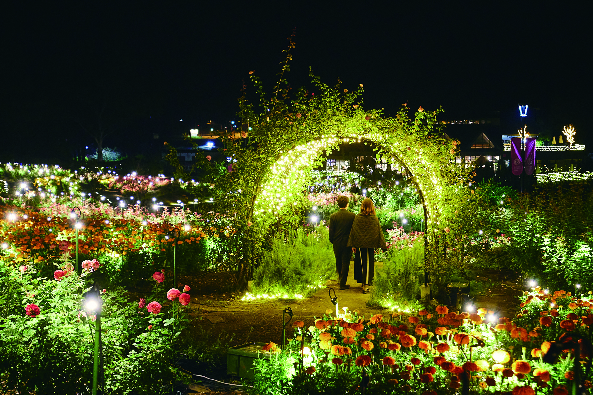 Moon Light Rose Garden