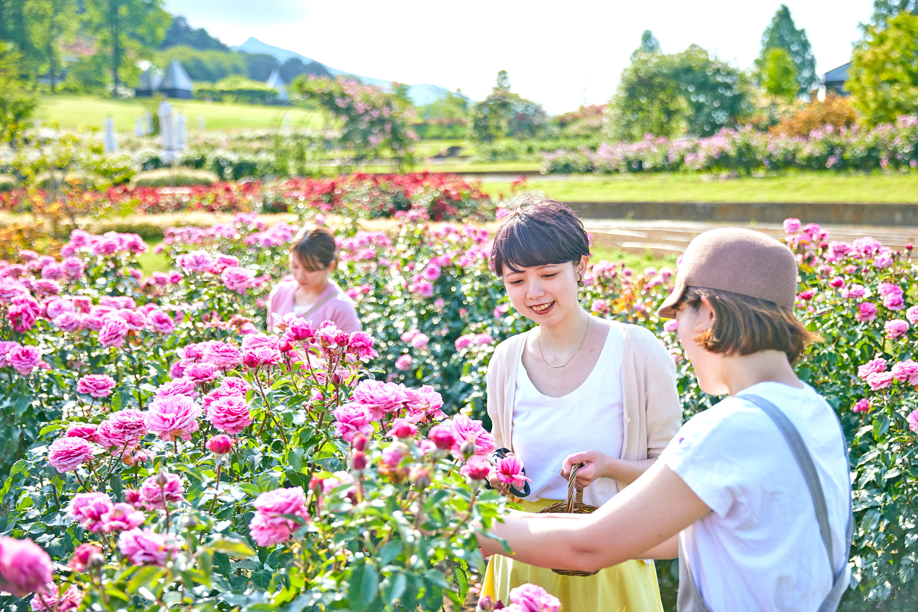 フラワーパーク花摘み体験