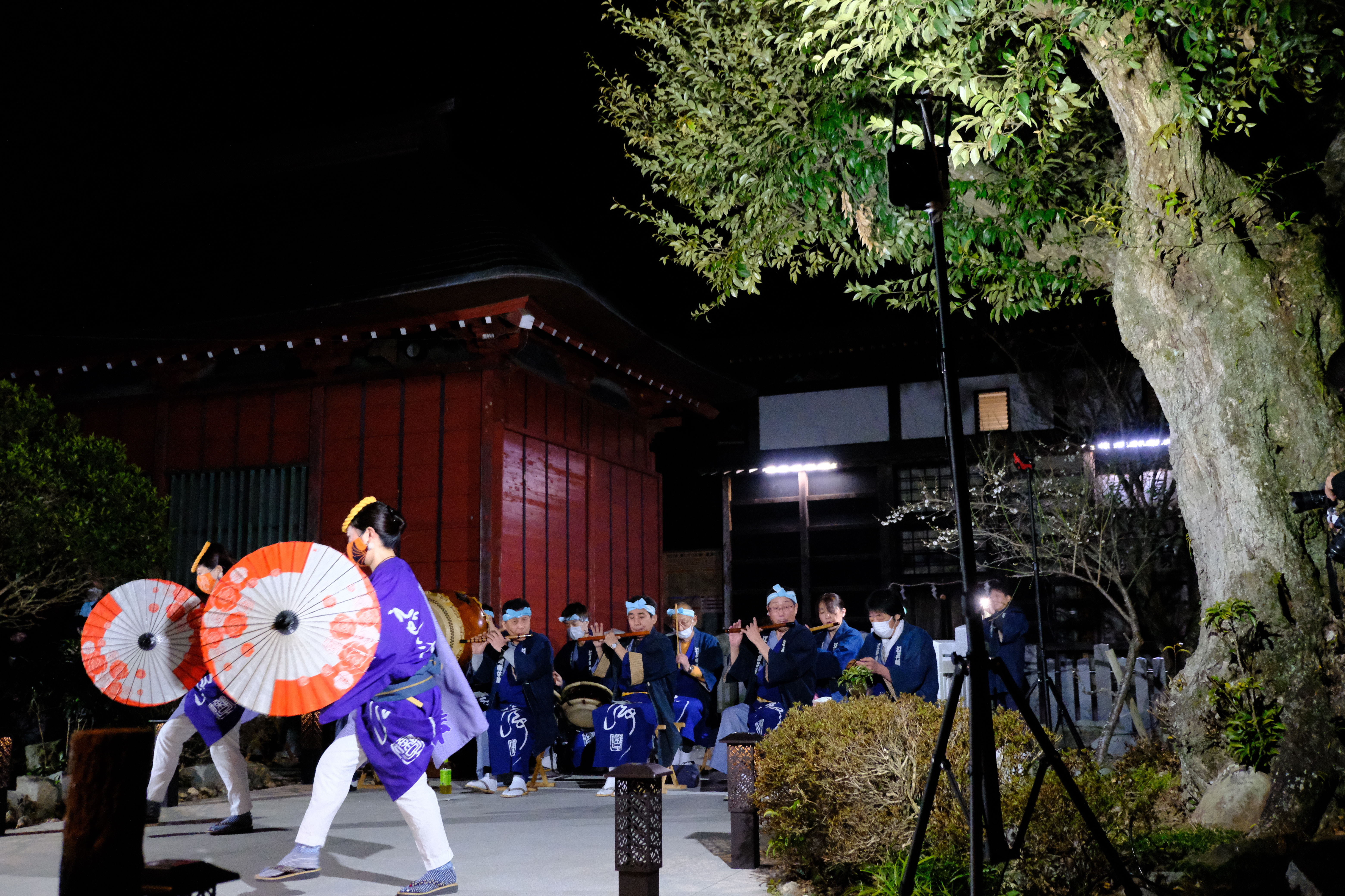 大杉神社プレミアム宿泊ツアー