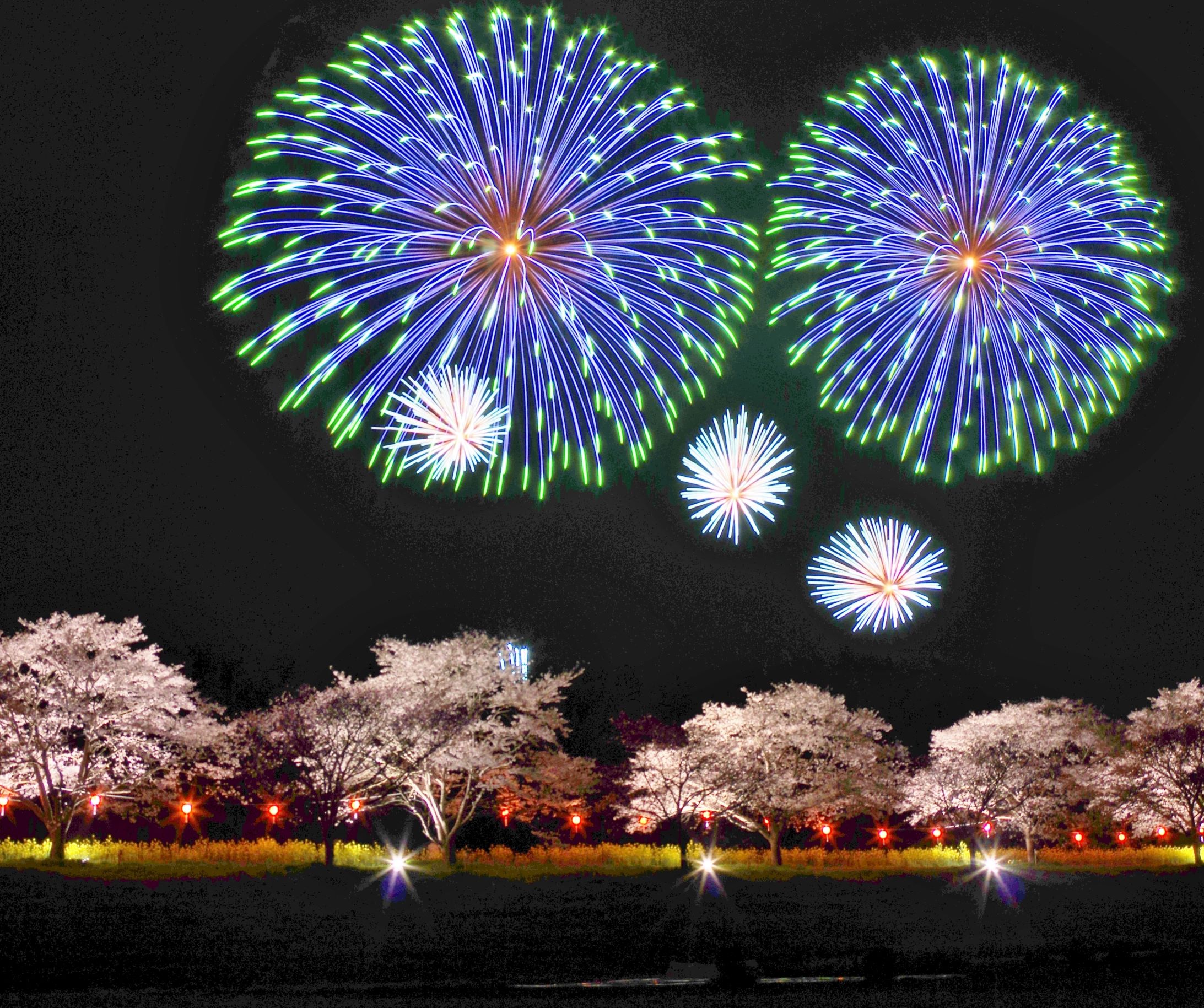 辰ノ口さくら祭り