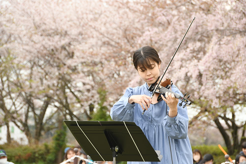 OHANAMI～ごかマルシェ2024～