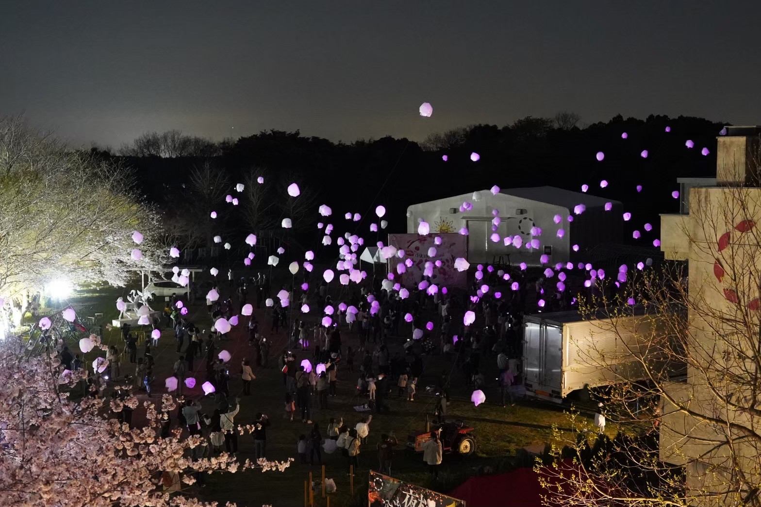 おいも夜桜ランタンバルーンフェスティバル2024