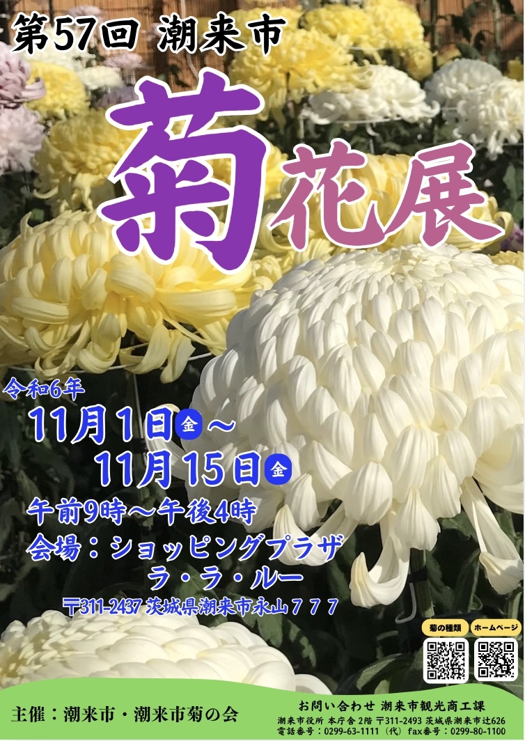 ポスター画像