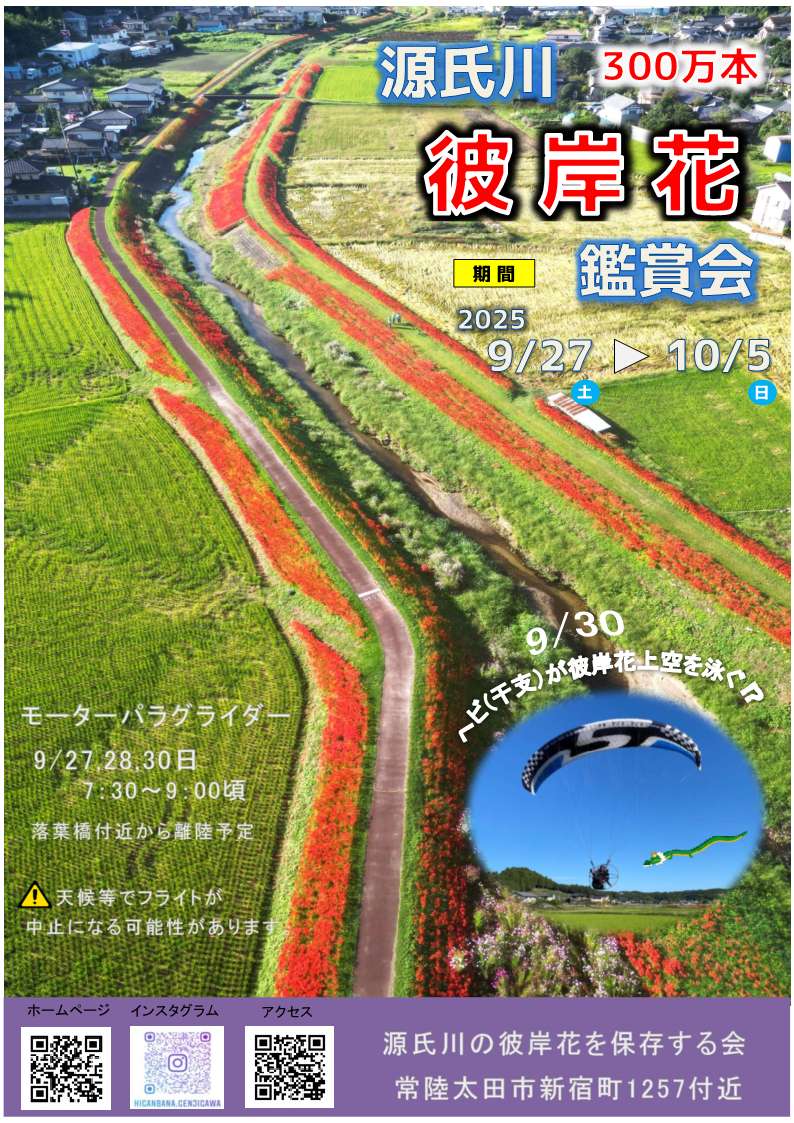 彼岸花鑑賞会