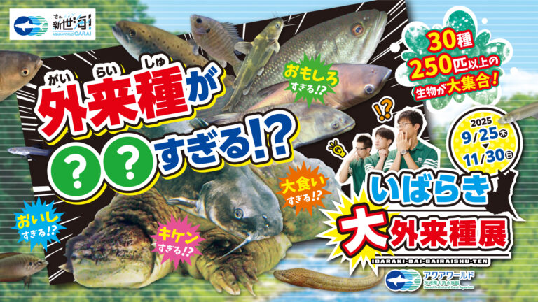 01 外来種キービジュアル