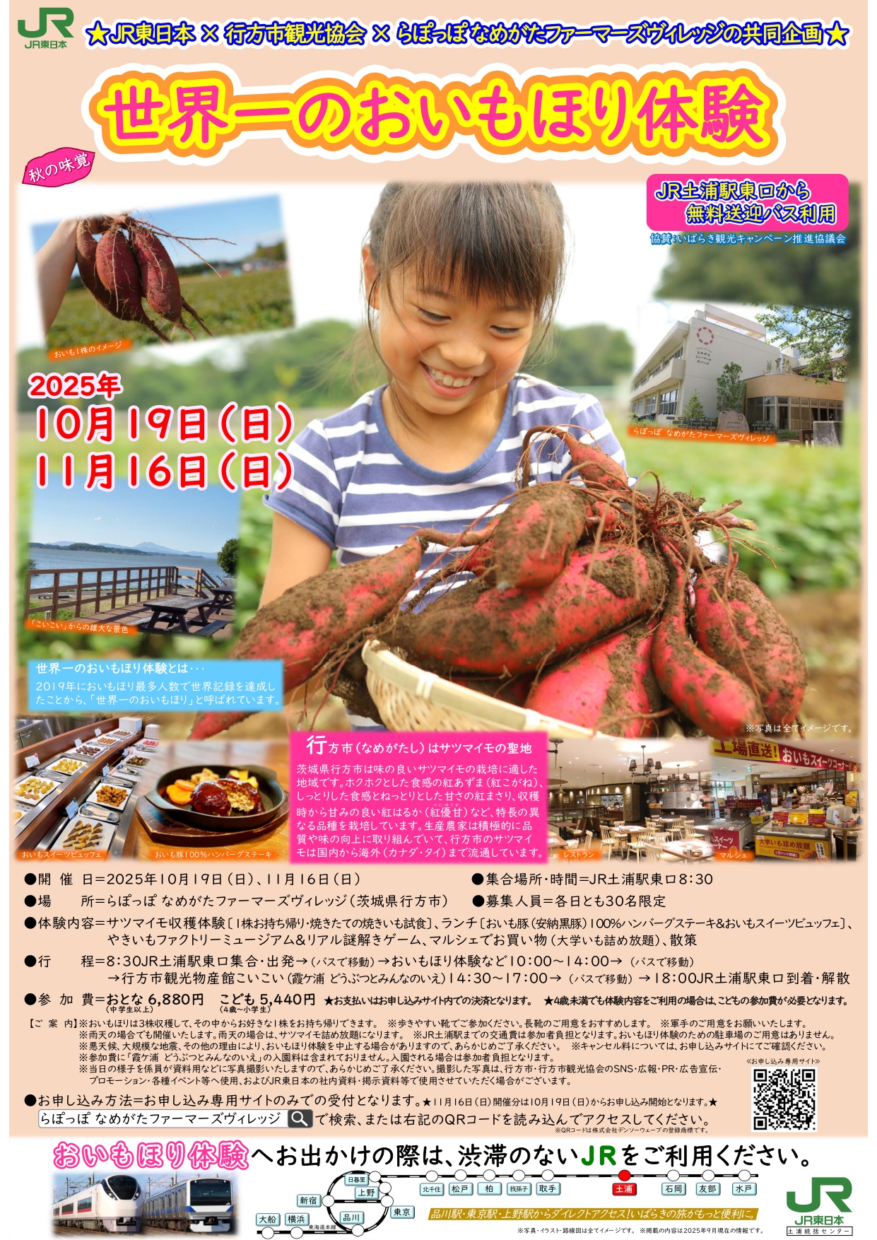おいもほり体験