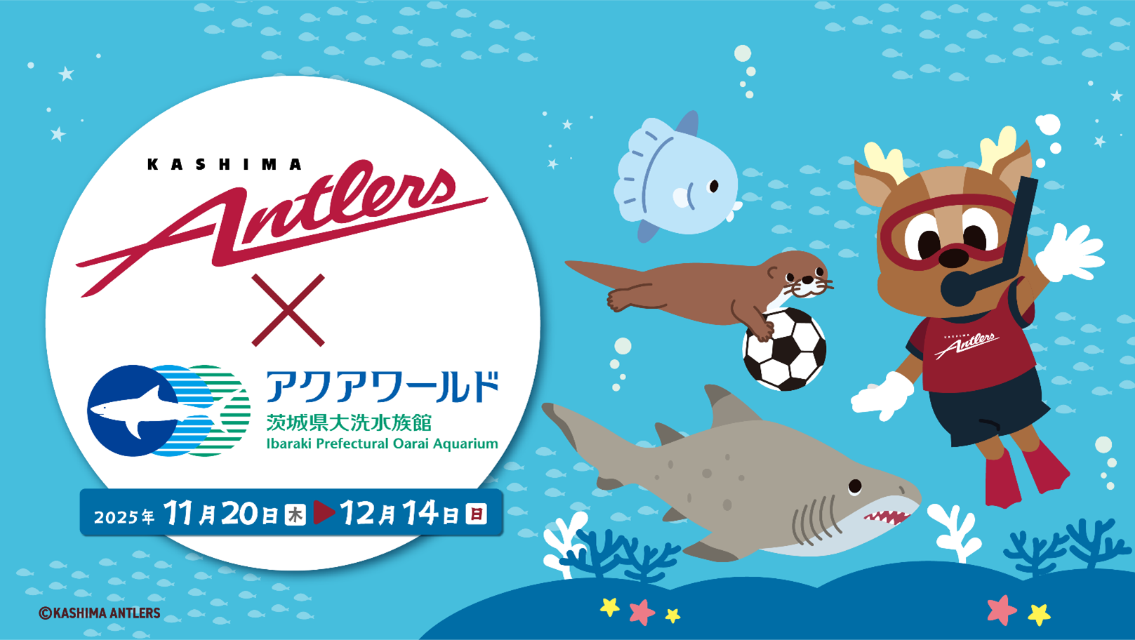 アクアワールド×鹿島アントラーズ