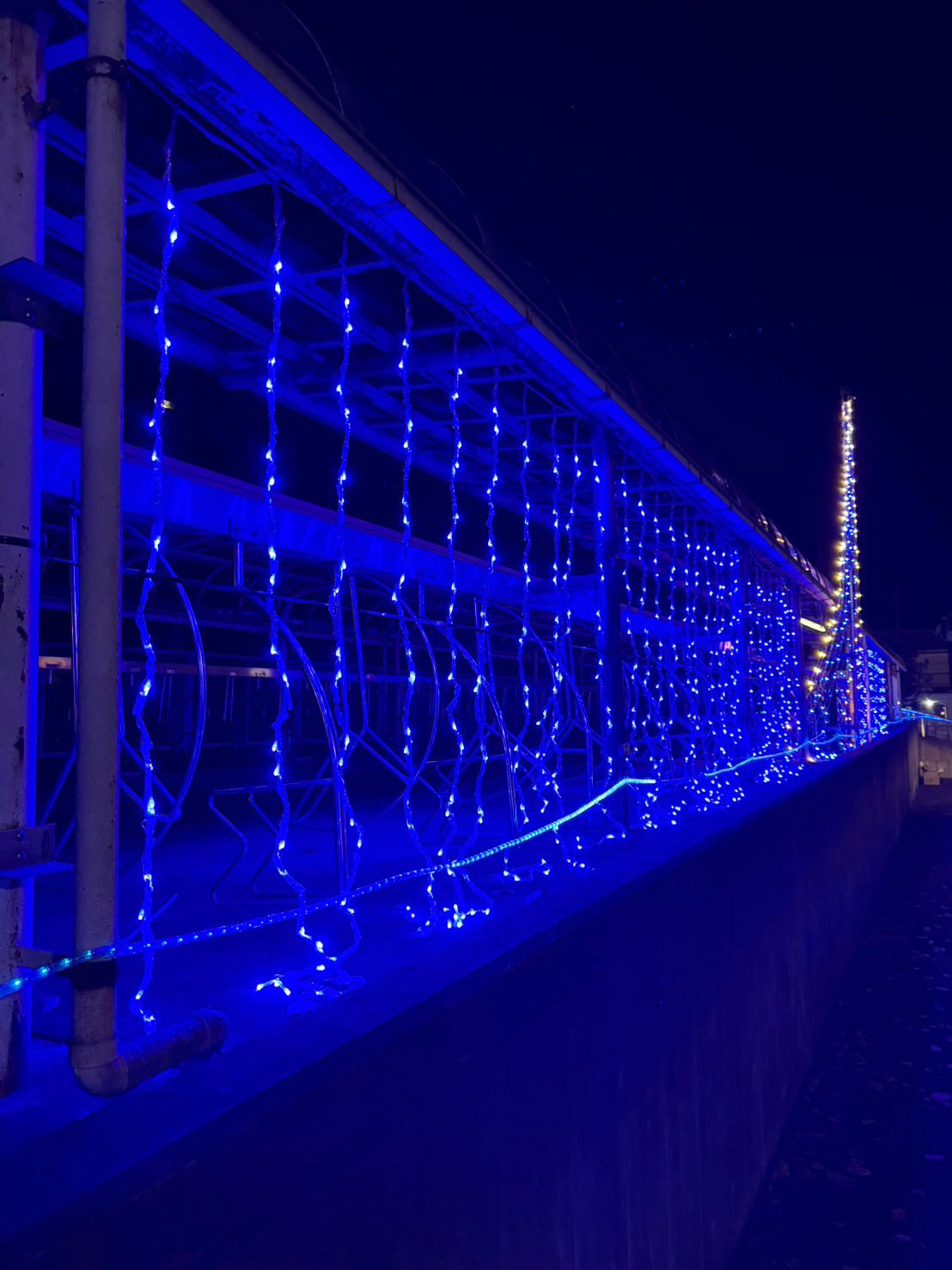 LINE_ALBUM_2024きらきらステーション点灯式