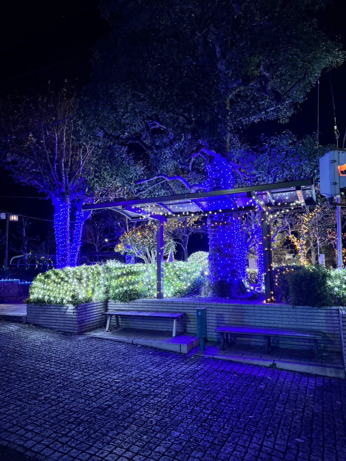 LINE_ALBUM_2024きらきらステーション点灯式