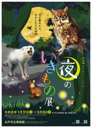 子どもミュージアム 夜のいきもの展