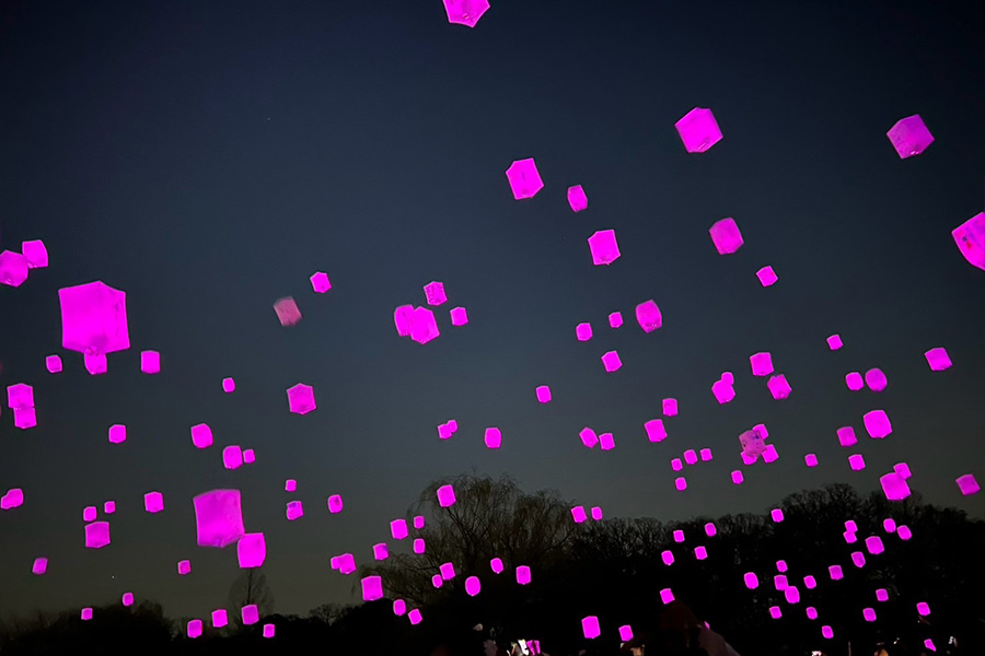 古河桃まつり_花桃灯夜宴_ランタン2_900×600