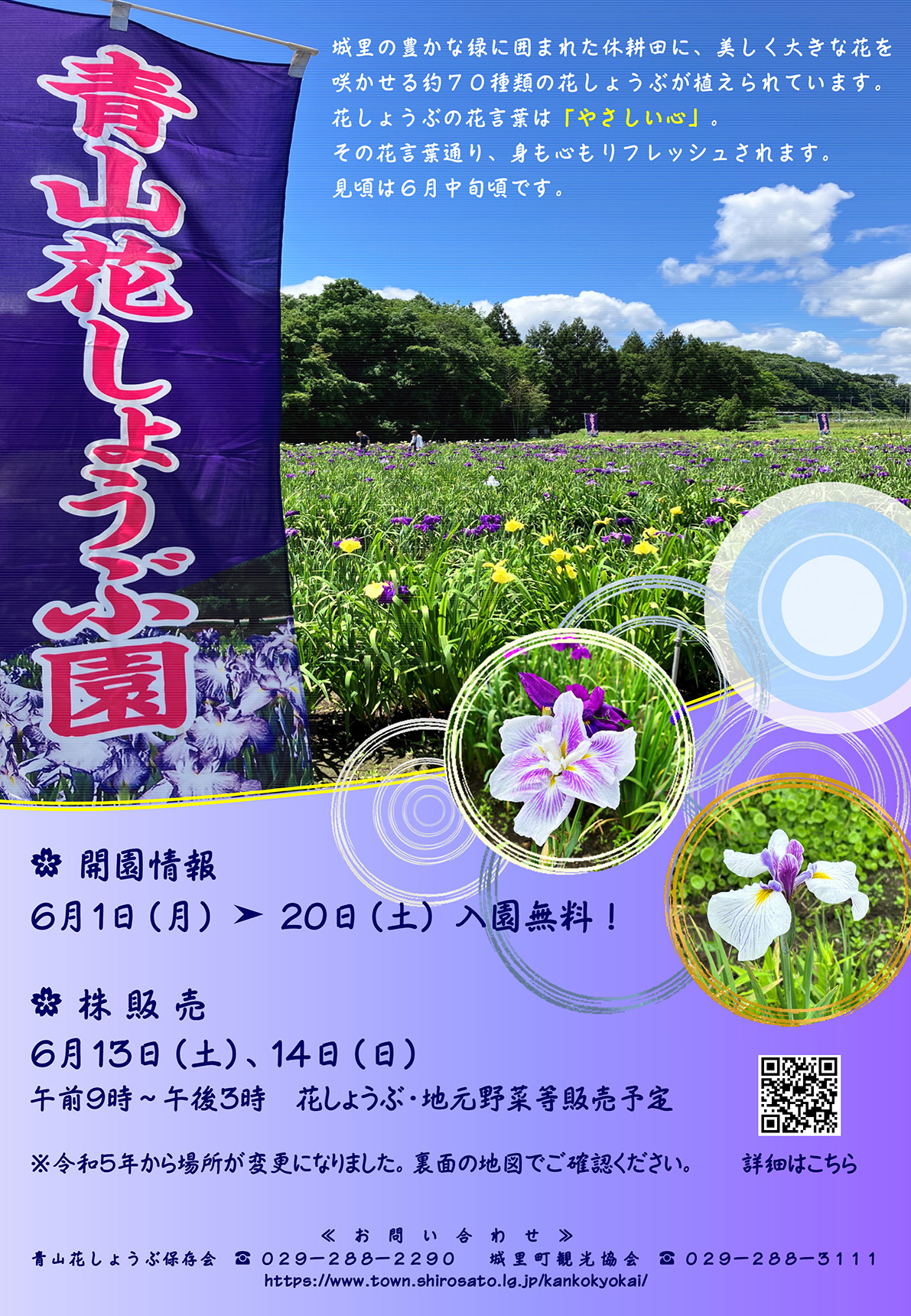 青山花しょうぶ園-1