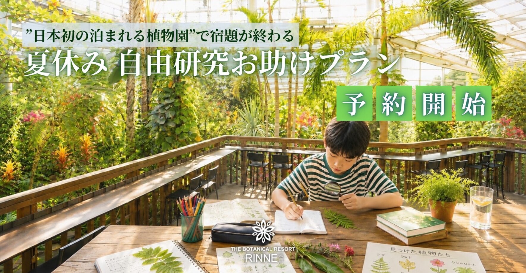 自由研究プラン