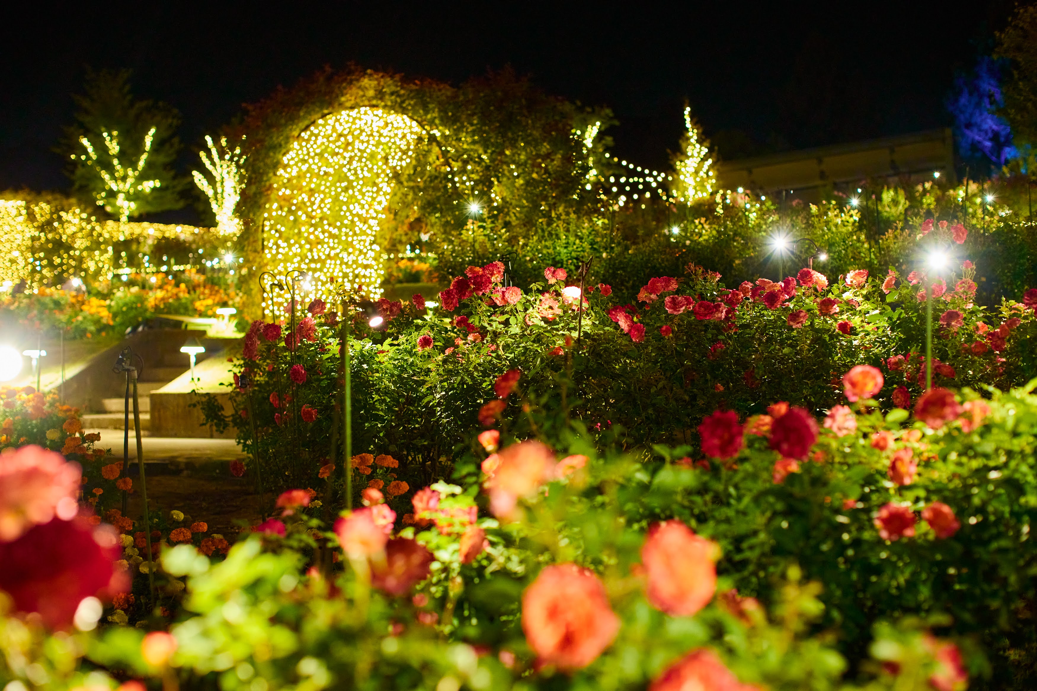 ローズファームリトリート~Autumn Rose Garden Party~8