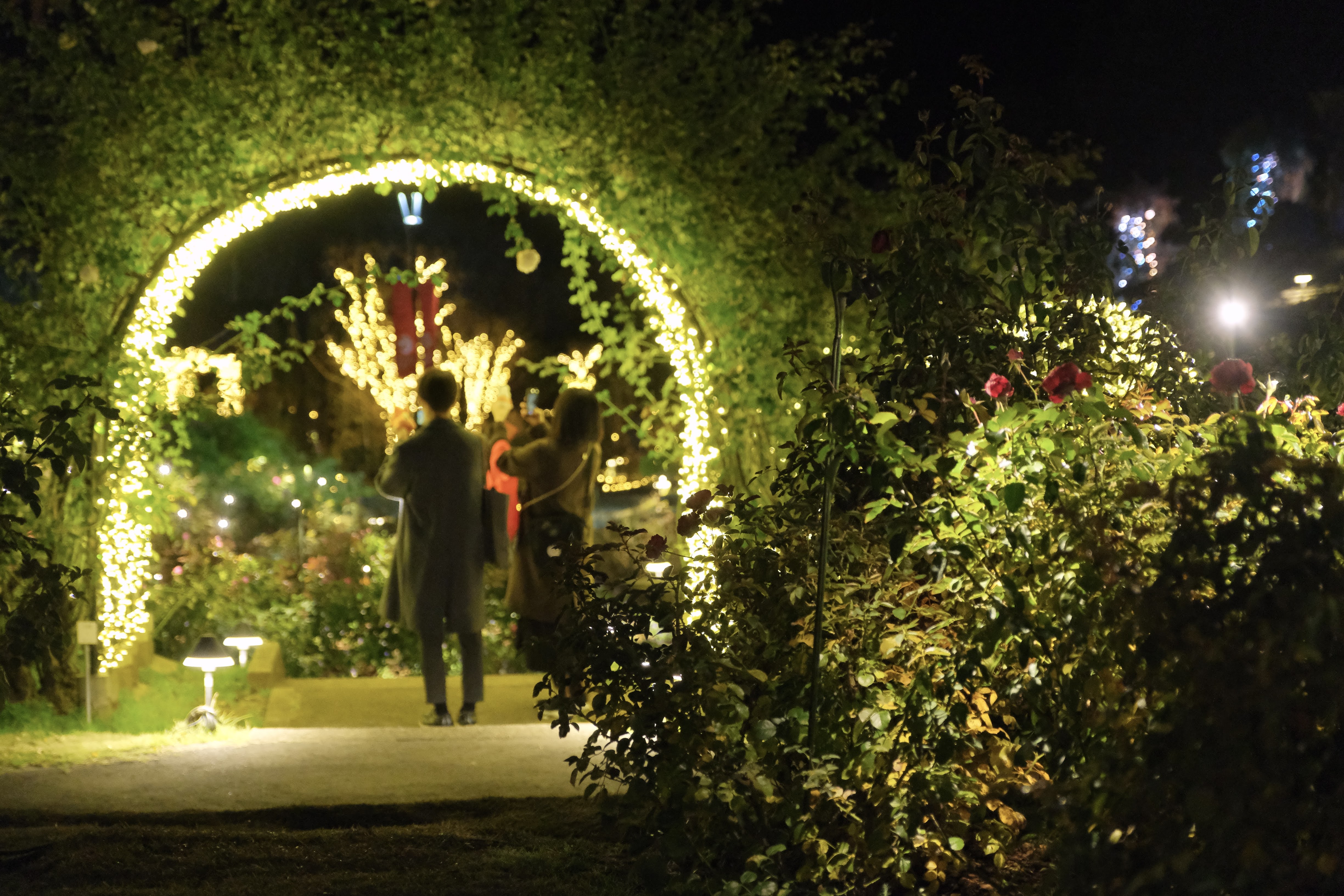 ローズファームリトリート~Autumn Rose Garden Party~2