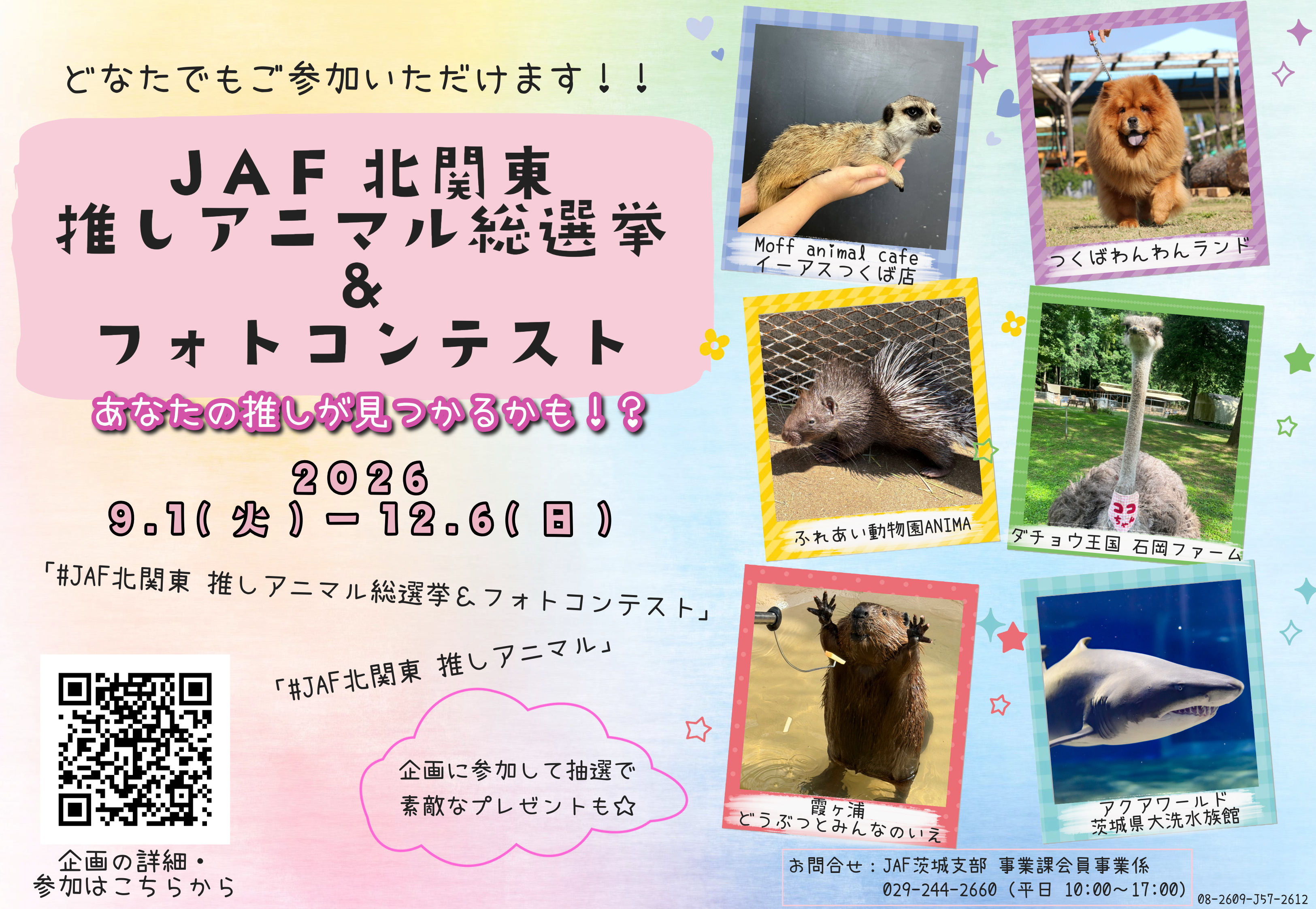 JAF北関東「推しアニマル総選挙＆フォトコンテスト」