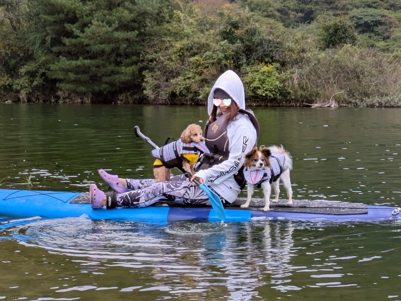 ストームフィールドガイド_愛犬・ドッグカヌ-・ドッグサップ