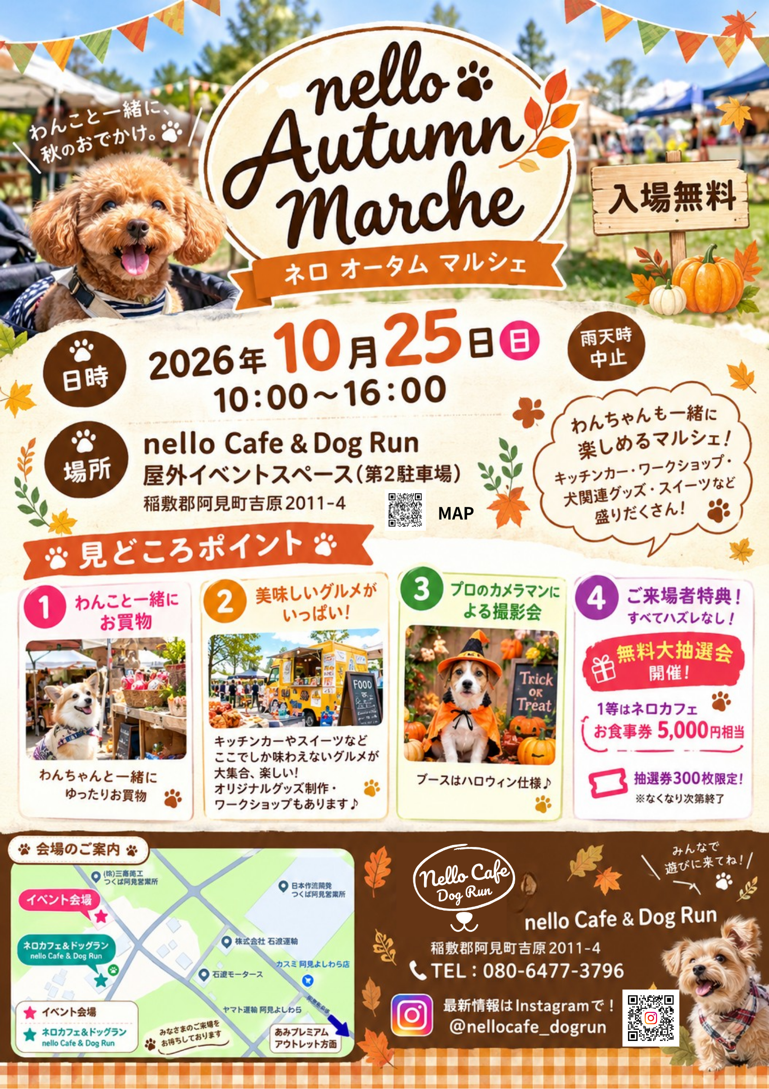 nello+Autumn+marshe+チラシ