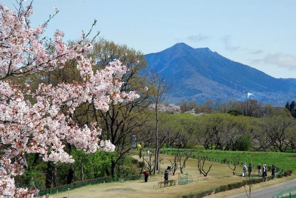 小貝川ふれあい公園_パークゴルフ