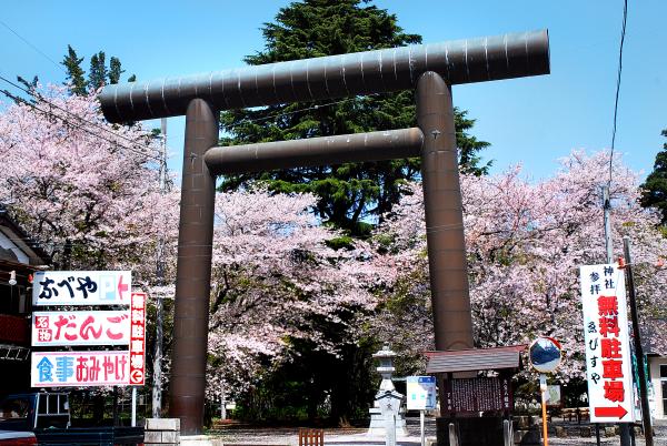 大宝八幡宮_桜の名所